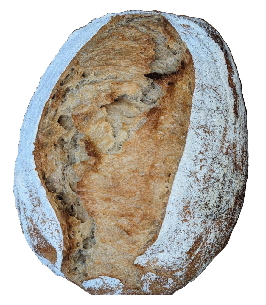 Photo d'un pain demi-complet